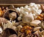 Medicinal Mushrooms